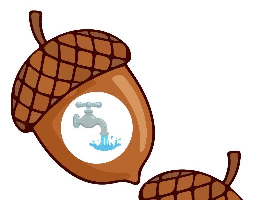 Autumn Acorn CVC Pictures – 12 CVC Words – EYFS Phonics & Early Literacy