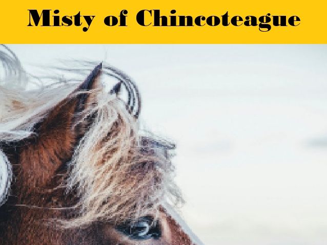 Misty of Chincoteague Writing Prompts