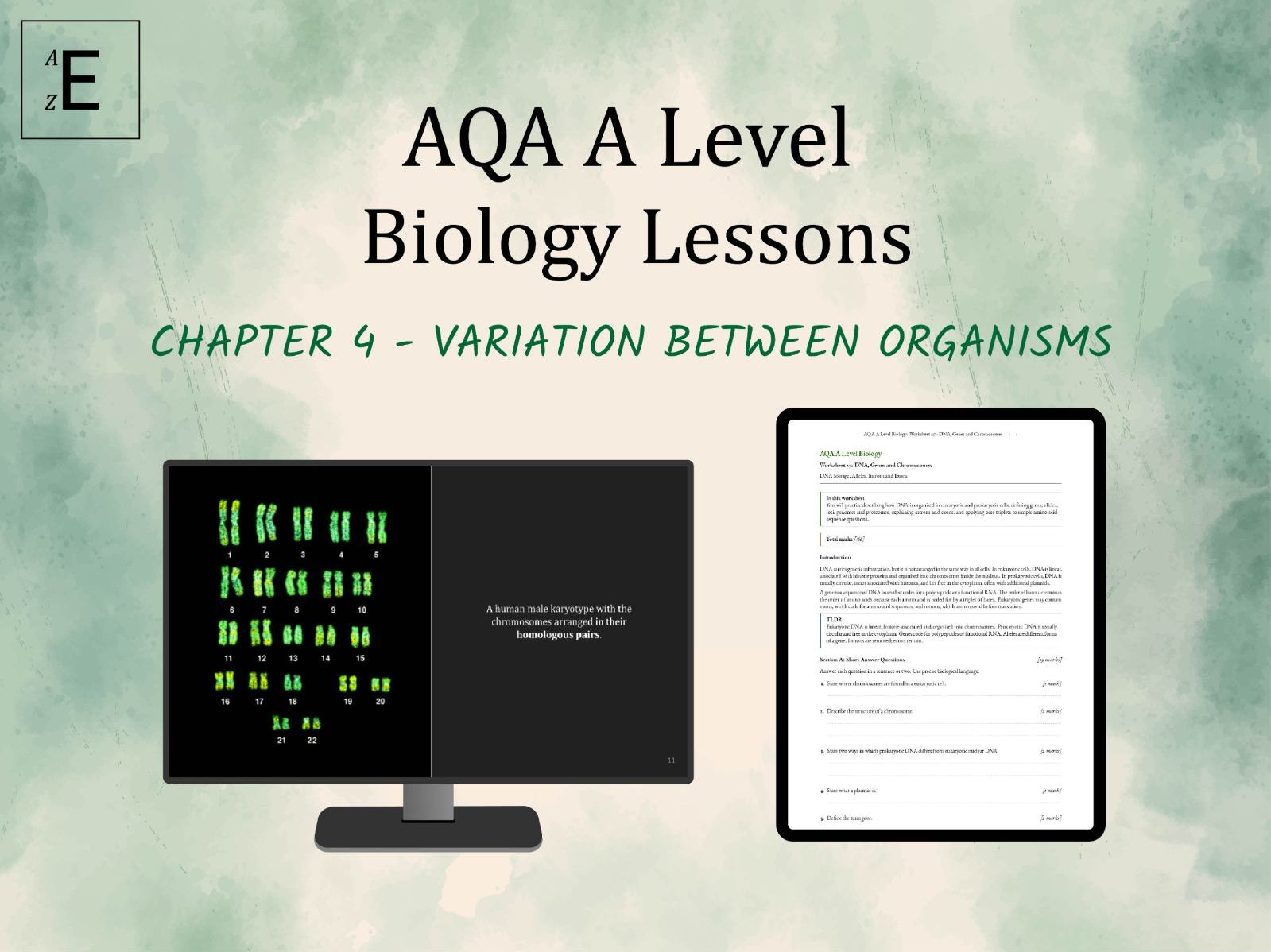 AQA A Level Biology Lessons Chapter 4 - Variation Between Organisms