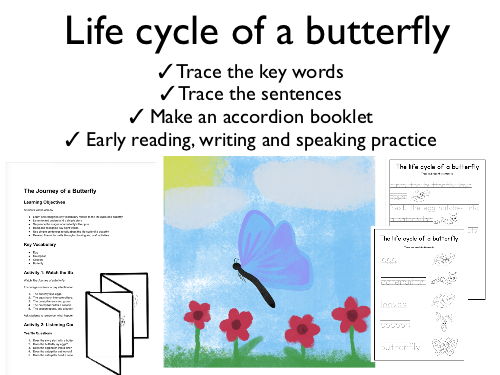 The journey of a butterfly
