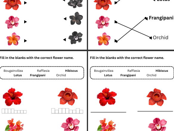 Malaysian flowers worksheet