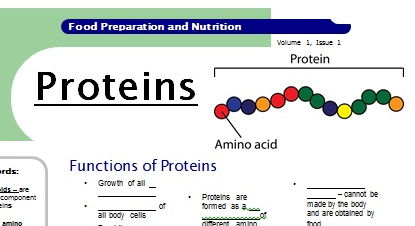 Fact Sheet for Protein