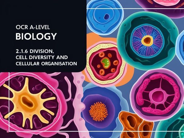 OCR A-level biology 2.1.6 Whole topic- Cell division, cell diversity ...