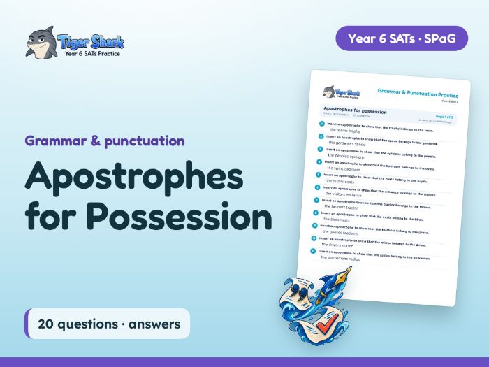Apostrophes for Possession: Year 6