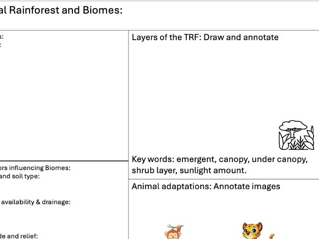 Tropical rainforest a3 revision sheet GCSE or KS3