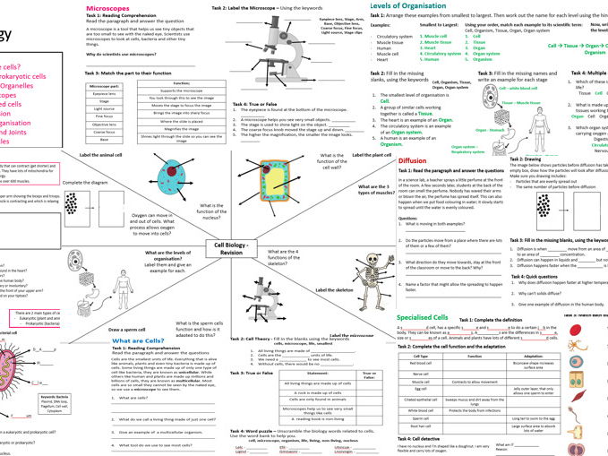 KS3 Cell Biology and Human Body Systems Bundle / Worksheets and Revision Pack with Answer sheets