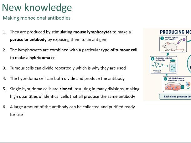 Producing monoclonal antibodies
