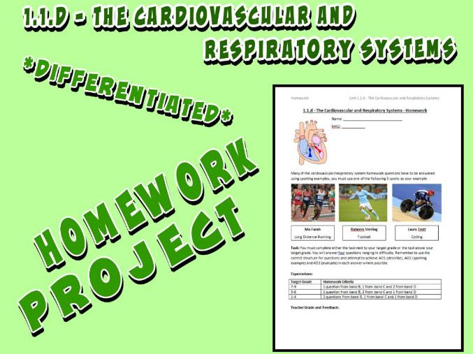 OCR GCSE PE 9-1 (2016) 1.1.d - Homework Project -  The Cardiovascular and Respiratory System