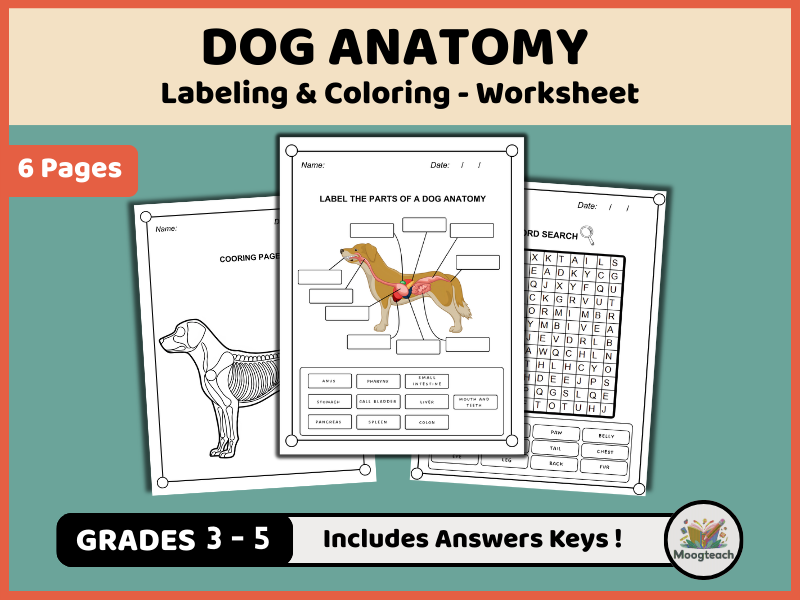 Dog Anatomy Worksheet Pack | Labeling, Coloring & Word Search Activities for Early Science (K-2) PDF