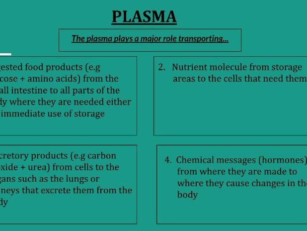Components of the blood