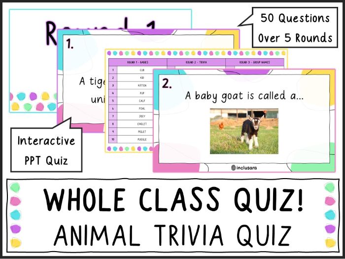 Whole Class Animal Trivia Quiz, End of Year/Term