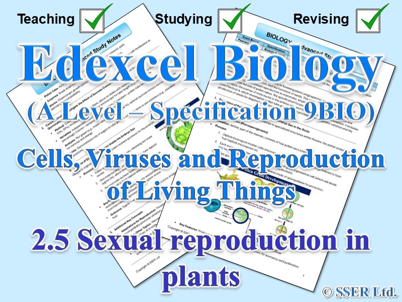 BIOA_EDX Topic Notes: 2.5 Sexual reproduction in plants