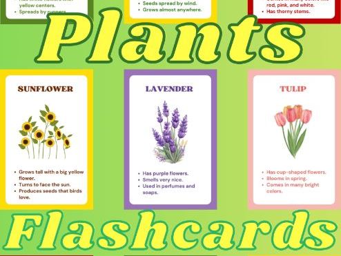 Plant Flashcards | Types of Plants & Flowers | Printable Science Flashcards