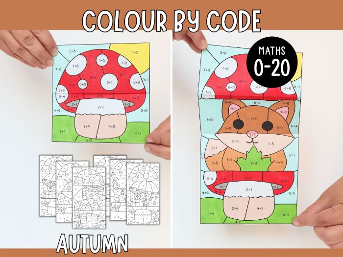 Colour by Code Maths to 20 (Addition & Subtraction) - Autumn