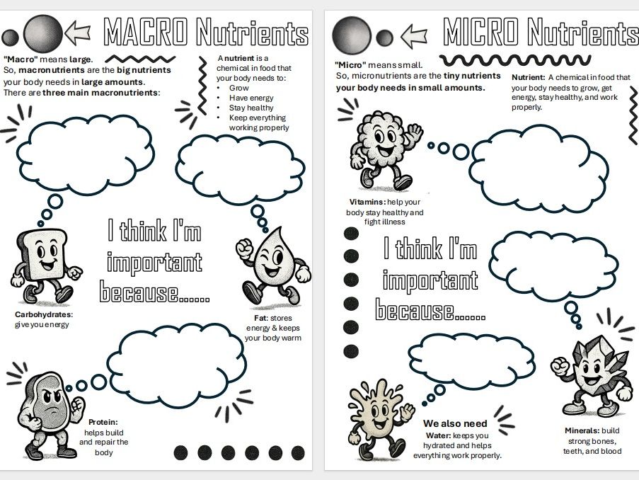Important Nutrients Worksheets KS2 and KS3 Food - Hospitality and Catering