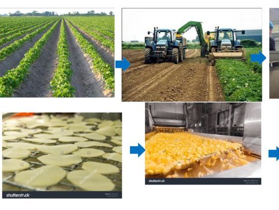 Where does food come from?- Lesson plan