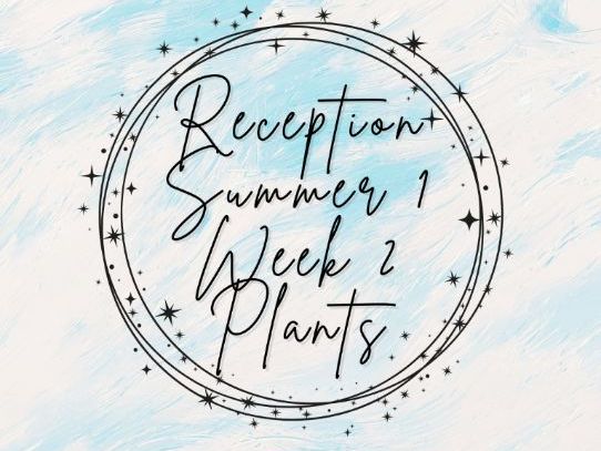 Reception - Summer 1 - Week 2 Planning (Plants)