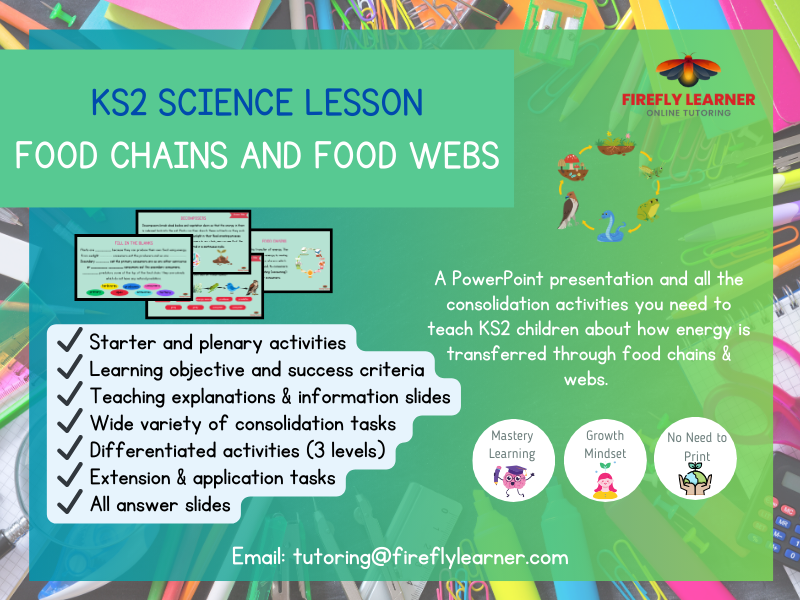 Food Chains & Food Webs - Science Lesson PowerPoint Presentation + Consolidation Activities (KS2)