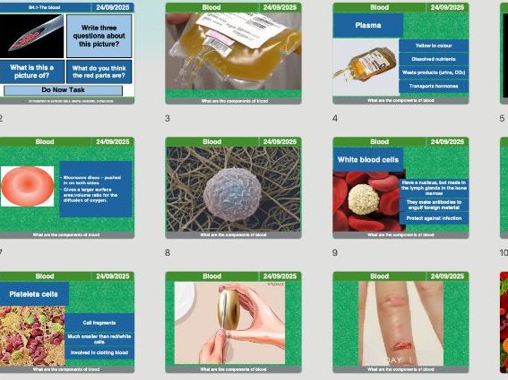 AQA GCSE Biology B4.1 – The Blood | Full Lesson, Worksheets & Answers (Editable)