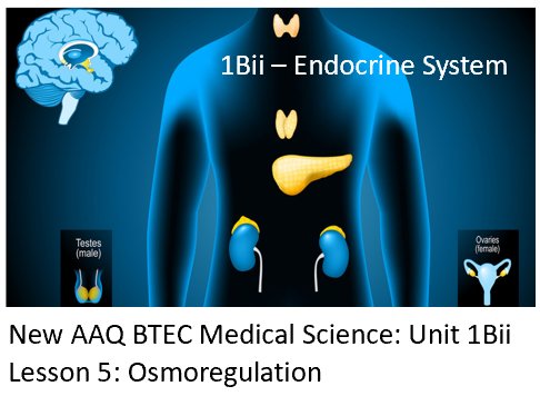 NEW: AAQ BTEC Medical Science Unit 1Bii Endocrine System - Lesson 5: Osmoregulation