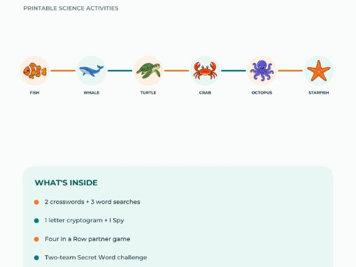 Ocean Animals Puzzles & Games | Year 2 Science