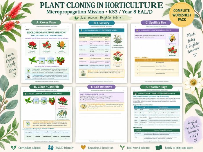 Plant Cloning in Horticulture | KS3 Micropropagation Lesson