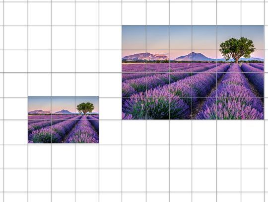 Enlargements Starter and Main Activity