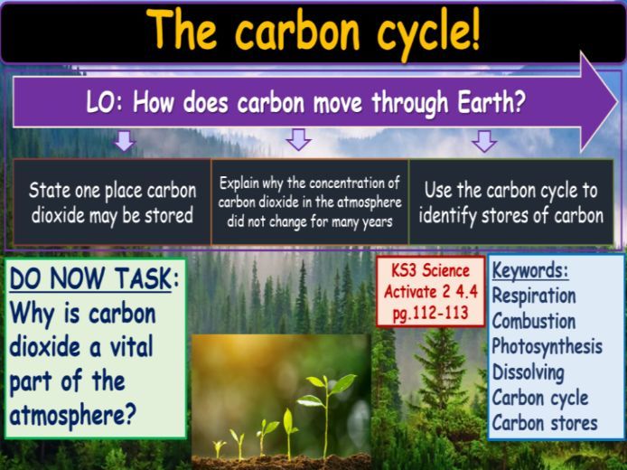 The carbon cycle KS3 Activate Science
