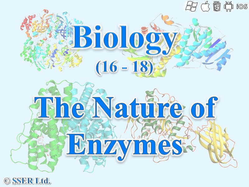 BioA_3.1.4.2 The Nature of Enzymes