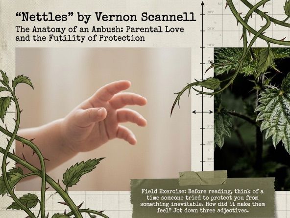 Nettles by Vernon Scannell | Edexcel Relationships Poetry Anthology | GCSE Poem