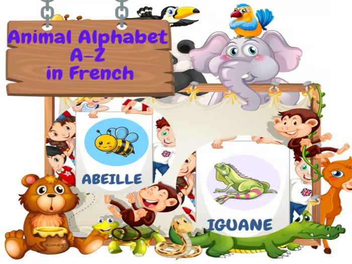 Alphabet Animals Flashcards for Pre K & K to learn French