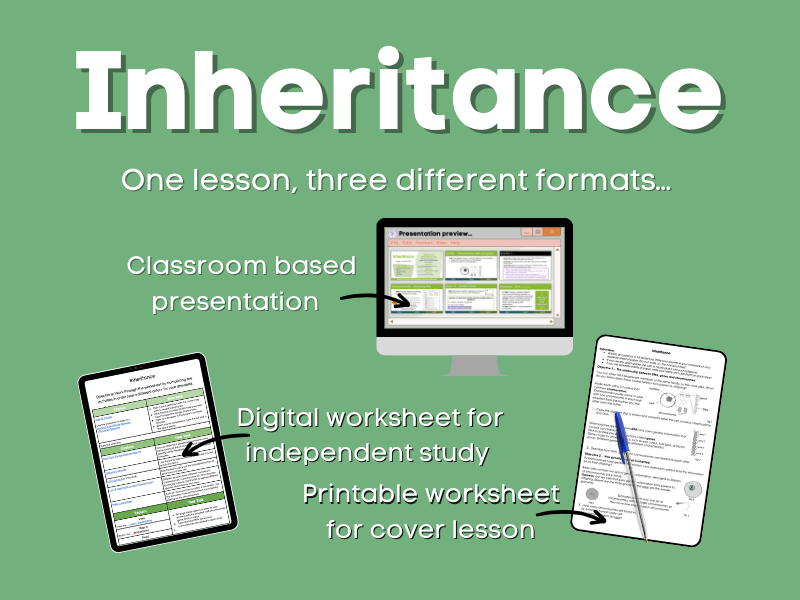 Inheritance Lesson bundle
