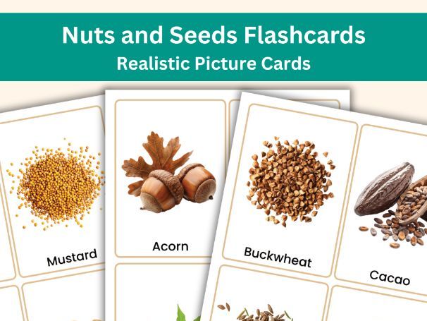 Nuts and Seeds Flashcards – 32 Realistic Picture Cards for Educational Learning