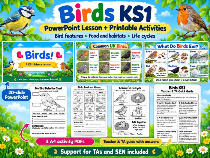 Birds KS1