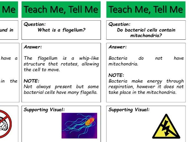 Cells and bacteria (teaching activity)