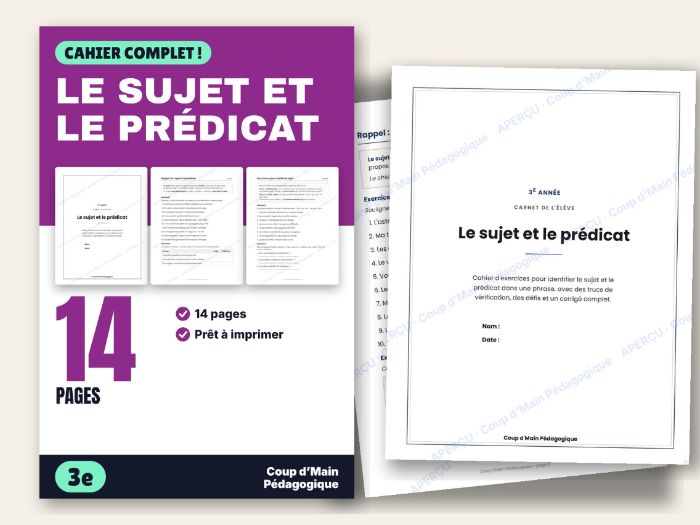 French Grammar Subject and Predicate Grade 3 | Le sujet et le prédicat