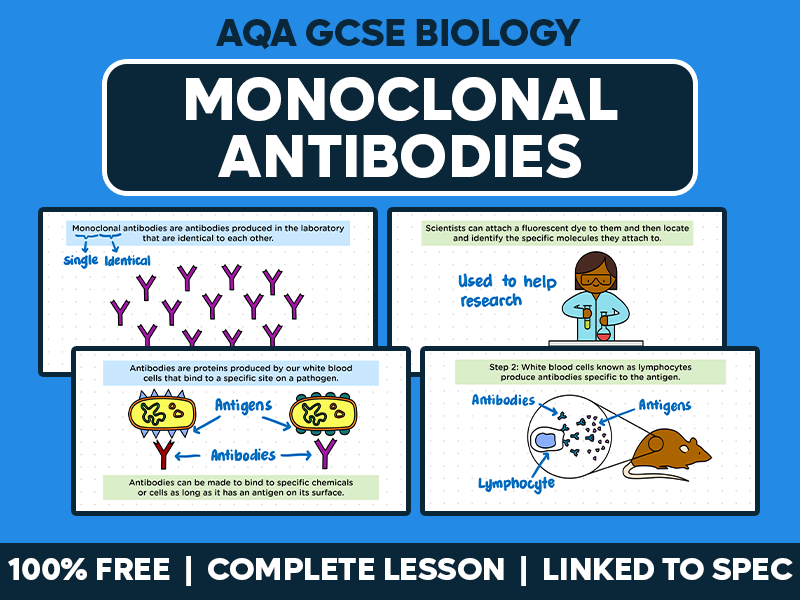 GCSE AQA Biology Complete Lesson - Monoclonal Antibodies