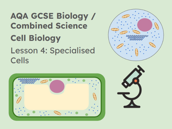 Lesson 4 Specialised Cells