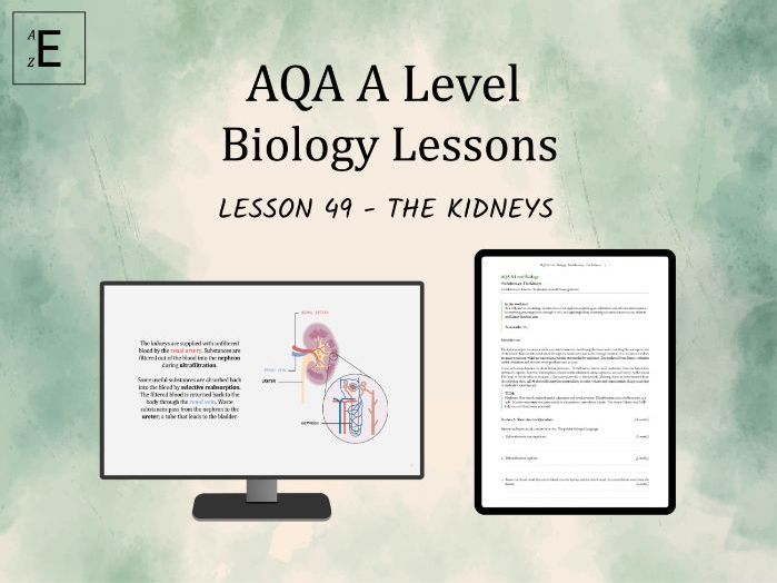 AQA A Level Biology Lesson 49 - The Kidneys