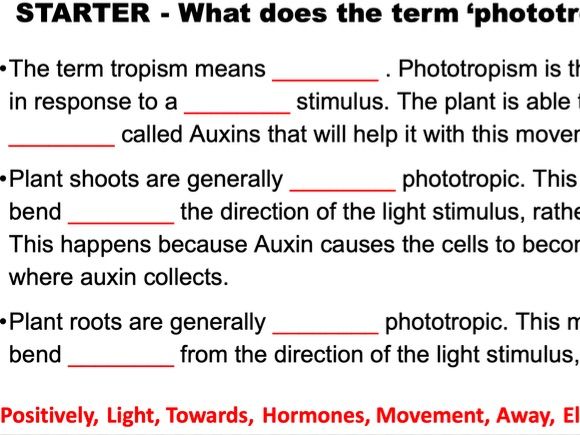 Phototropism in Plants - AQA A Level