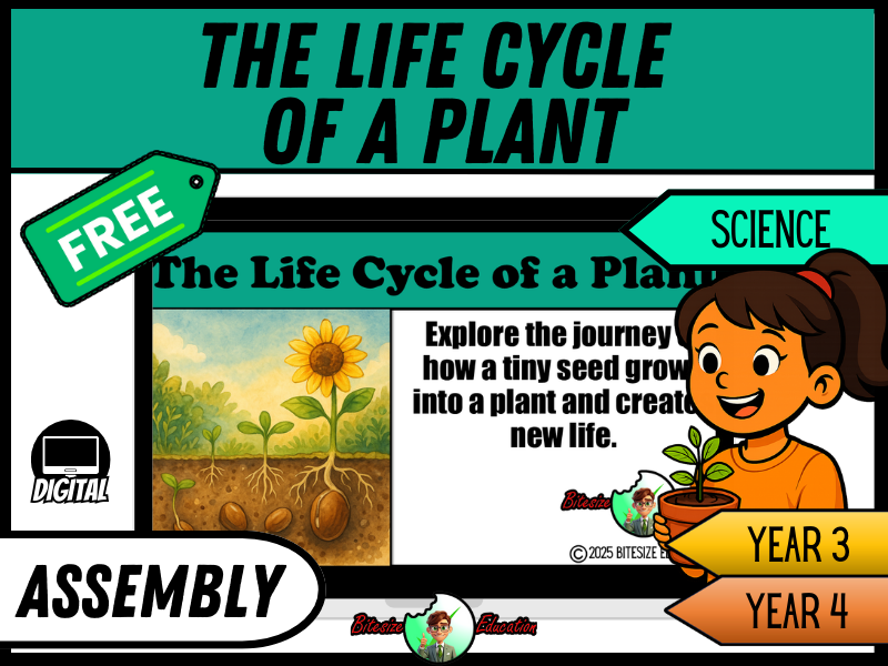 The Life Cycle of a Plant | Science Assembly | Year 3/4