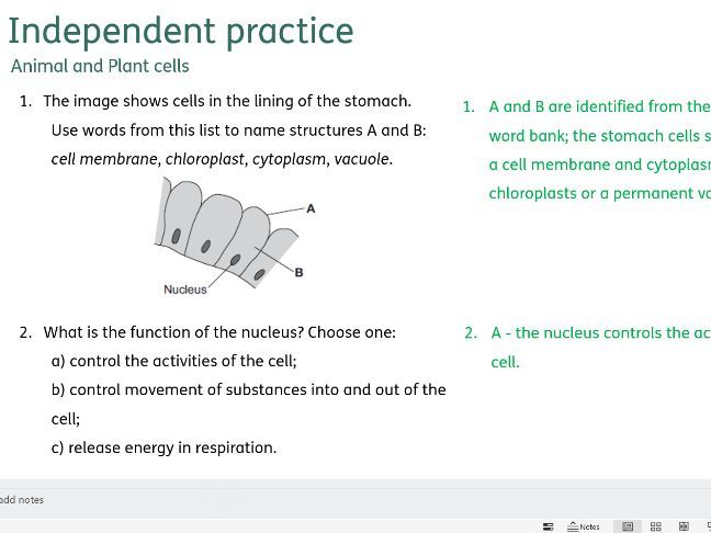 AQA 4.1 Cell Biology Independent practice