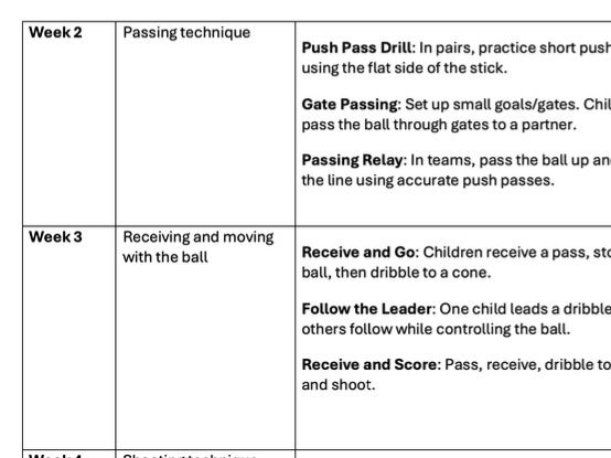 Year 2 - 4 Hockey Overview