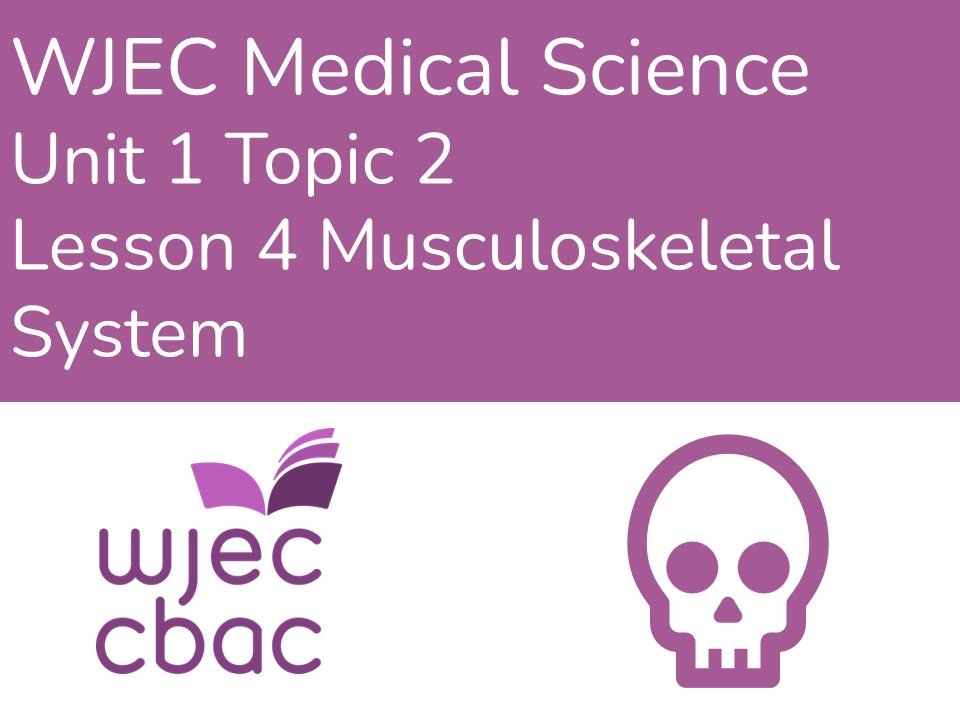 WJEC AAQ Medical Science 1.2 Musculoskeletal System