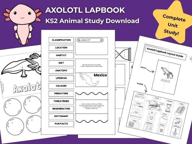 Axolotl KS2 Animal Science Activities | Lapbook