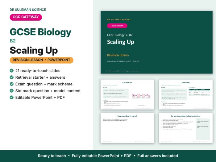OCR Gateway GCSE Biology B2 Scaling Up Revision Lesson PowerPoint