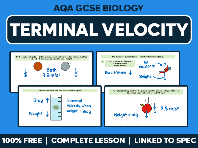 GCSE AQA Physics Complete Lesson - Terminal Velocity