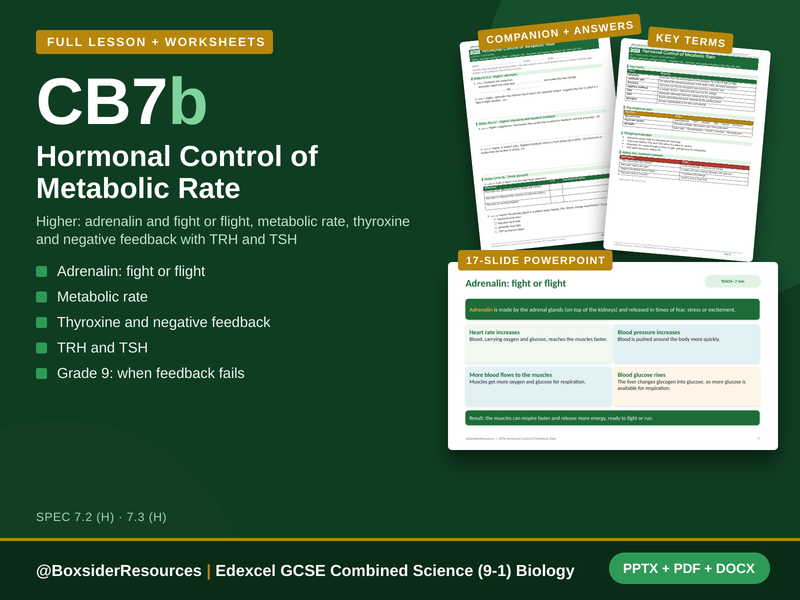 CB7b Hormonal Control of Metabolic Rate | Edexcel Combined Science (9-1) | Lesson + Worksheet