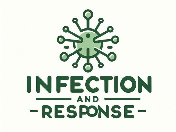 Vaccines GCSE Biology Worksheet | Immunity, Antigens, Antibodies and Herd Immunity