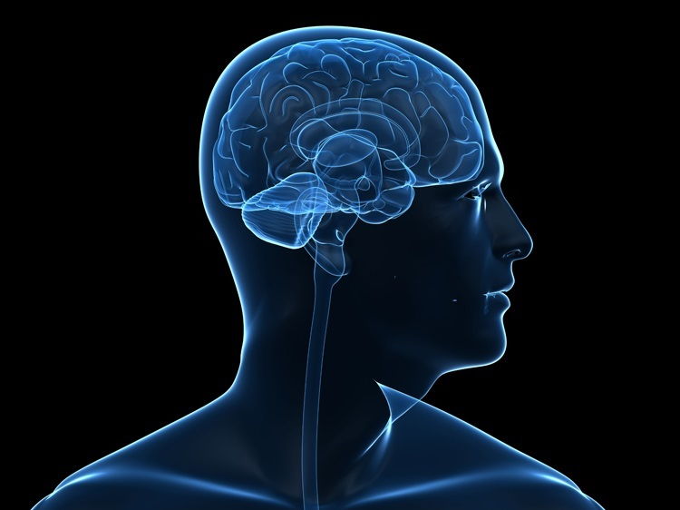 CIE Psychology Resources for Canli et al Study by mandarmstrong